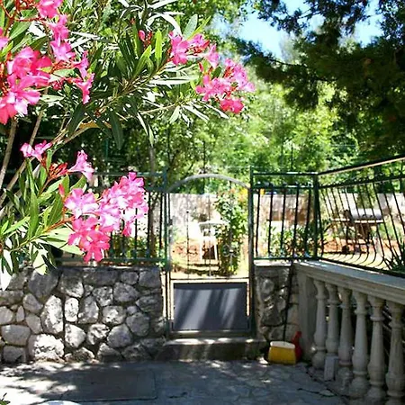 Apartment La Dostana 1