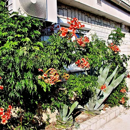 Apartment La Dostana 1 *