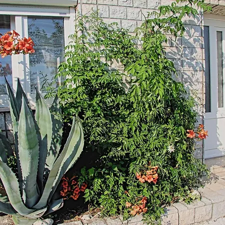 La Dostana 1 Apartment Dramalj