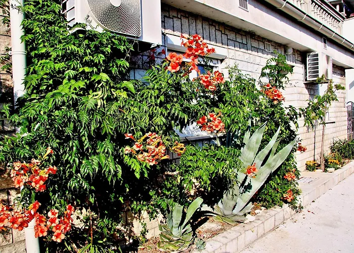 Apartment La Dostana 1 *