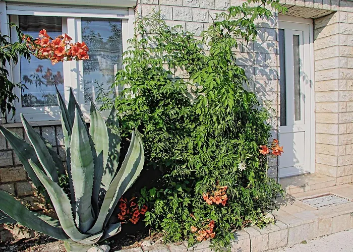 La Dostana 1 Apartment Dramalj